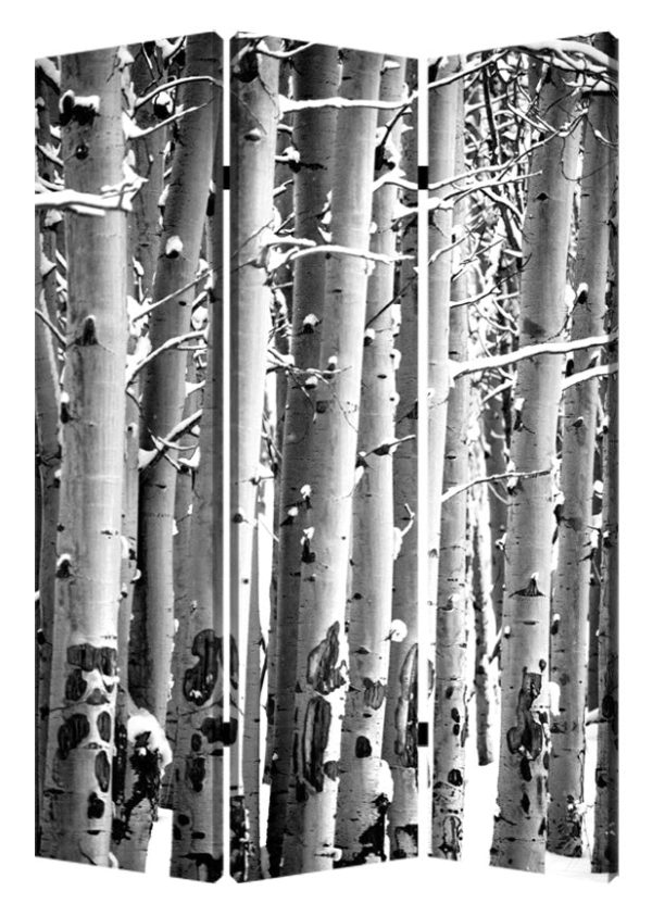 48  X 72  Gray And White Wood Canvas Birch  Screen Online Sale