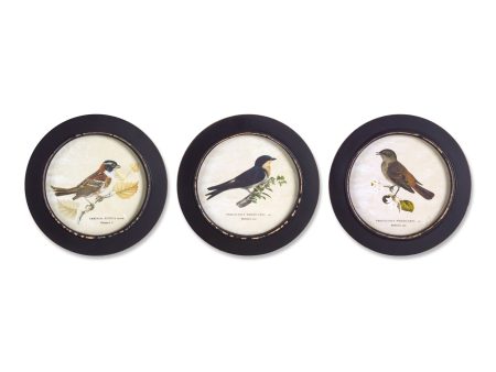 Set Of Three Black Bird Wall Decor Online